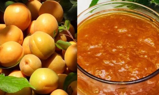 “Tháng sáu ăn loại quả này, không cần dùng thuốc đông y”. Một là bổ phổi, hai là giải độc, ba là bảo vệ cơ thể