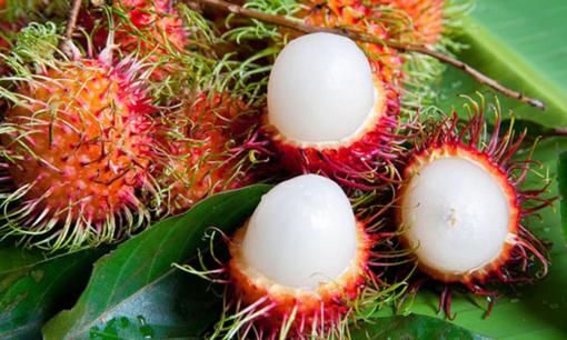 Người bán hoa quả lâu năm chỉ cách chọn chôm chôm dày cùi, tróc vỏ, không biết chỉ thiệt 