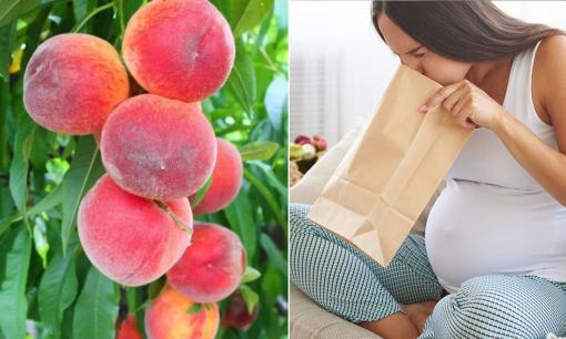 Những ai không nên ăn đào? Bác sĩ: Vì sức khoẻ, sáu nhóm người đừng phạm sai lầm, đặc biệt là bà bầu