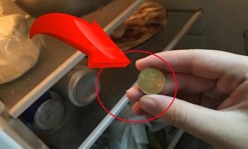 Trước khi đi xa, hãy nhớ bỏ một đồng xu vào tủ lạnh, nó có thể cứu cả gia đình vào thời điểm quan trọng