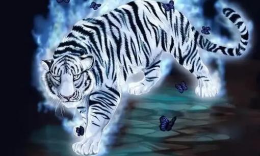 'Bạch hổ xông vào nhà, hủy diệt gia tộc', rất nhiều người không biết bạch hổ ám chỉ cái gì