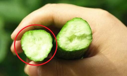 Dưa chuột là loại rau quả được 'tắm' thuốc trừ sâu nhiều nhất: Muốn biết dưa có sạch hay không nhìn ngay vào những điểm này