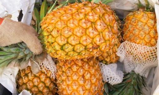 Dứa vào mùa đang rẻ, người thông minh nhớ đừng mua '3 loại' này, vừa tốn tiền lại ảnh hưởng sức khỏe