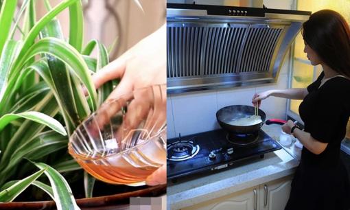 Đừng vứt bỏ “dầu thải” trong máy hút mùi. Nó có nhiều công dụng và có thể tiết kiệm hàng trăm đô la mỗi năm