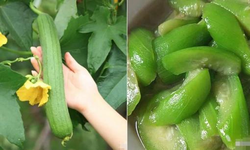 Khi mua mướp nên chọn loại 'có gân' hay 'không có gân'? Sự chênh lệch khá lớn, khuyên bạn nên tìm hiểu kỹ trước khi mua!