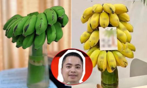 Ăn theo xu hướng 'chữa lành', chàng trai bỏ việc văn phòng kiếm 7 tỷ đồng mỗi tháng nhờ bán chuối xanh 