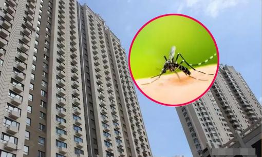 Tầng cao nhất mà muỗi có thể bay tới là tầng mấy. Chuyên gia đưa ra câu trả lời: Tôi đã chọn nhầm tầng