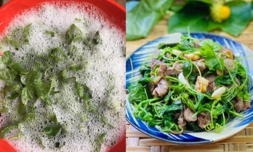 Ở Việt Nam có một loại cây dại mọc bờ bụi sủi bọt như xà phòng nhưng ăn rất ngon, hái bán giá 60.000 đồng/kg