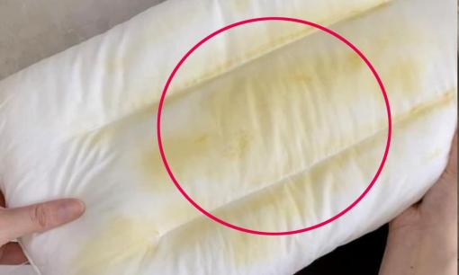 Thật sự rất kinh tởm nếu trong nhà bạn có 6 thứ này thì hãy nhớ vứt chúng đi càng sớm càng tốt nhé