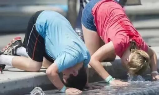 Bạn có bao giờ thắc mắc: Tại sao người Châu Âu lại thích 'chết nóng' hơn là lắp điều hòa?