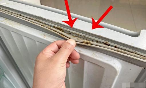 Ba thứ trong nhà này “ổ bẩn thỉu” có thể ngày nào cũng chạm vào nhưng nhiều người không biết