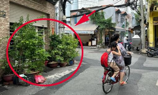 Đặt chậu cây cảnh trước nhà sai quy định có thể bị phạt từ 2 - 6 triệu đồng, bạn có mắc phải không?