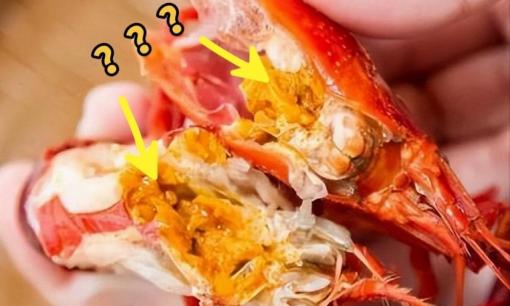 Bên trong đầu tôm là gì? Gạch hay phân, 10 người thì 9 người mắc sai lầm, đừng ăn bừa nếu không biết