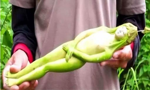 Khi đi du lịch Thái Lan, tại sao không thể nhận “trái thần tiên” do mỹ nữ mời? Hướng dẫn viên du lịch: Nếu chấp nhận sẽ thiệt thòi