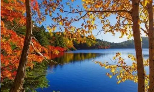 Khi nào lập Thu? Mùa thu năm nay rất đặc biệt, nó chỉ xảy ra một lần trong 60 năm và có ba đặc điểm chính