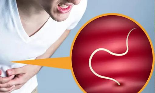 Cách đây vài thập kỷ, hầu hết mọi người đều có hàng ổ giun đũa trong bụng, vậy tại sao bây giờ chúng ta ít nghe