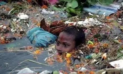 Có rất nhiều thứ này ở sông Hằng ở Ấn Độ. Trẻ em đánh bắt chúng hàng ngày, có thể nuôi sống cả gia đình.