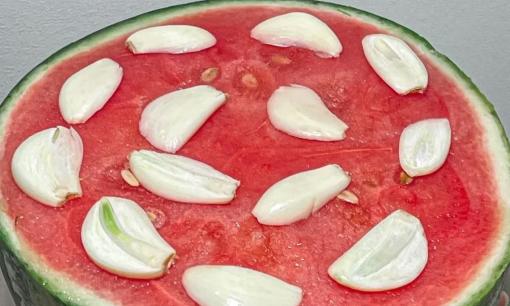 Cho tỏi vào dưa hấu có tác dụng gì?