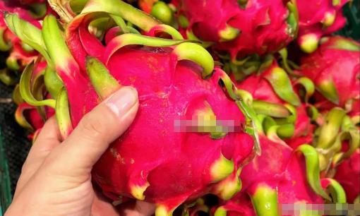 Khi mua thanh long nên chọn thanh long dài hay thanh long tròn? Tôi sẽ dạy bạn một mẹo và chắc chắn sẽ luôn chọn đúng