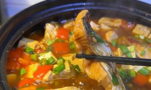 Cho dù bạn ăn loại cá nào, đừng bao giờ thêm muối hoặc rượu nấu! Đầu bếp sẽ dạy bạn một mẹo để làm cá tươi ngon hơn