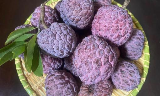 Na tím khác gì na xanh? Ăn dai hay bở mà dân mạng lùng mua?