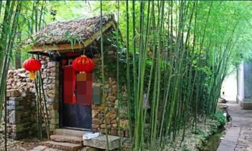 Vì sao có câu: “Trước nhà không trồng tre thì sau nhà trồng ít cây”? Điều gì sẽ xảy ra?