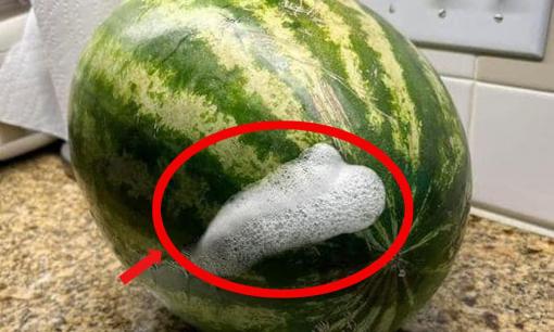 Dưa hấu sủi bọt, liệu có tẩm hóa chất không?