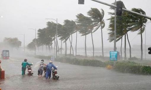 Hoàn lưu bão Yagi đang gây thiệt hại lớn, vậy hoàn lưu bão là gì? 