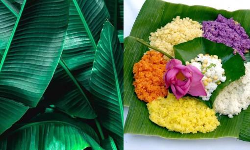 8 lý do tại sao ăn thực phẩm trên lá chuối lại tốt cho sức khỏe