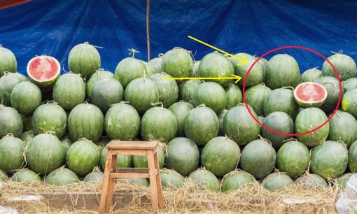 'Bán hàng rong': Bí kíp kiếm tiền triệu mỗi ngày với 3 ngành nghề hot nhất!