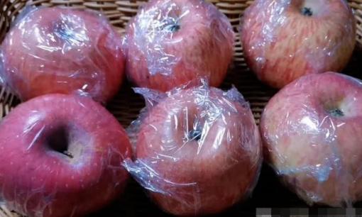 Đừng để táo vào tủ lạnh! Lão nông trồng trái cây dạy bạn mẹo giữ trái cây giòn, ngọt, mọng nước được lâu