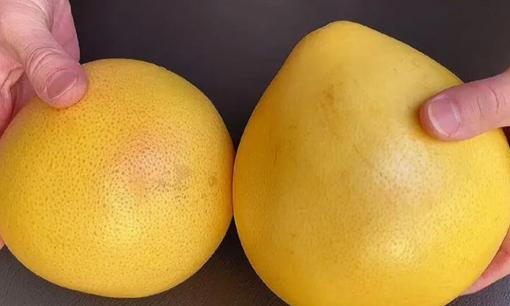 Chọn bưởi nên mua quả to hay nhỏ sẽ ngon hơn? 