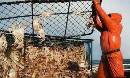 Công việc được trả lương cao nhất thế giới, kiếm hơn 3,4 tỷ chỉ trong vài ngày, nhưng không phải ai cũng sẵn sàng làm