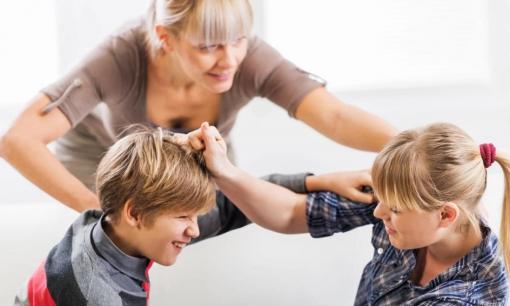 Khi hai con đánh nhau, cha mẹ xử lý thế nào? Hóa ra đây chính là điều trẻ em quan tâm 