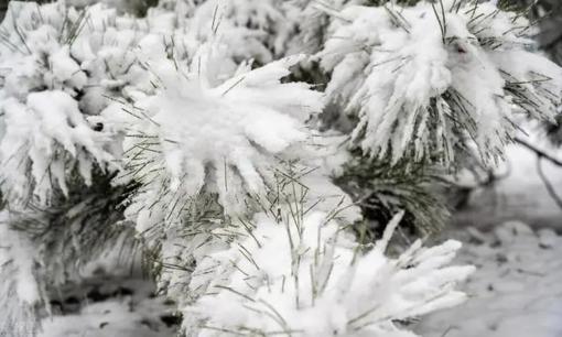 Mùa đông về khi nào?