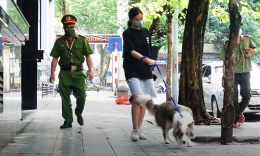 Tăng mức xử phạt khi dắt chó đi dạo không đúng quy định từ năm 2025? Biết để tránh rắc rối