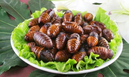 Con vật ngoe nguẩy có hàm lượng canxi gấp 76 lần thịt bò và gấp 32 lần trứng, ăn nhiều tốt cho xương và cải thiện khả năng miễn dịch