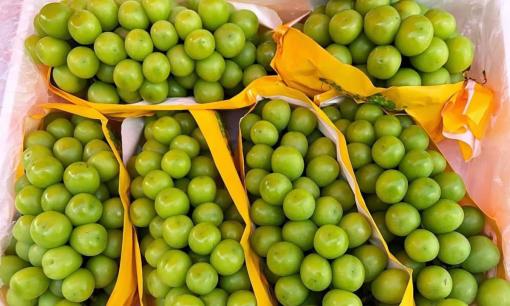 Nho được bán tràn lan ở các chợ Việt với giá rẻ bèo liệu có an toàn không?