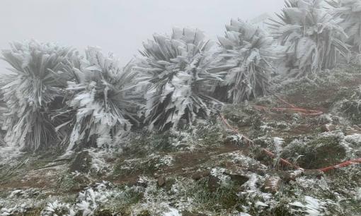 Thời điểm không khí lạnh mạnh nhất của mùa đông năm nay diễn ra khi nào?