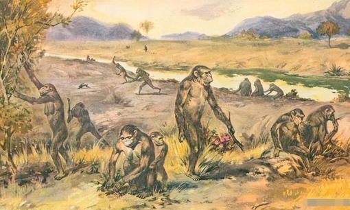 Con người đều do phụ nữ sinh ra, vậy người phụ nữ đầu tiên đến từ đâu trước khi có con người?