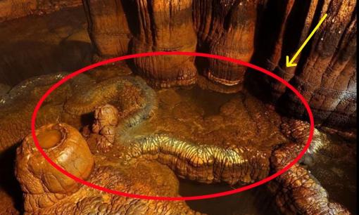 Một con 'rồng thật' được phát hiện trong hang động ở Hồ Nam, không ai dám vào! Chuyên gia: Nó đã tồn tại ít nhất hàng trăm triệu năm