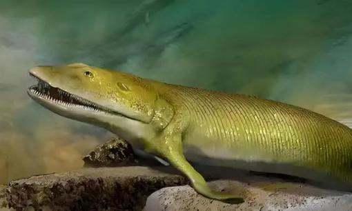 Tổ tiên loài người không phải là vượn mà là một loại cá? “Hóa thạch cá” 400 triệu năm tuổi đưa ra bằng chứng