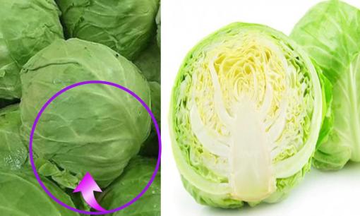 Chọn bắp cải chắc hay lỏng mới ngon? Người nông dân chỉ cách chọn chuẩn xác, mẹo hay biến bạn thành chuyên gia