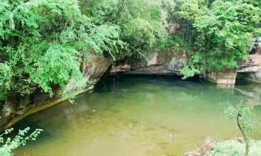 Một con cá nặng 37 kg bị bắt trong ao, dân làng tò mò hút nước và phát hiện ra 'cung điện rồng dưới lòng đất' siêu lớn!