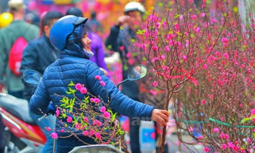 Tết 2025 chưng 10 loại hoa, cây cảnh này thì phúc khí đầy nhà, may mắn tài lộc ập đến