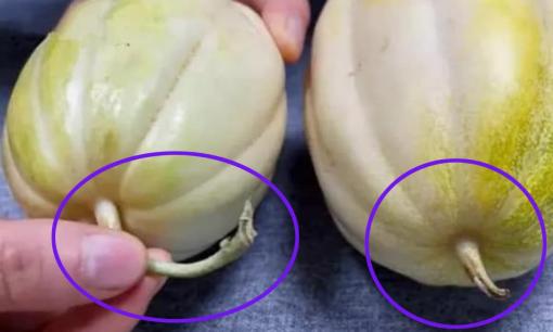 Bí quyết chọn dưa lê ngọt lịm không phải ai cũng biết với 5 mẹo cực kỳ đơn giản