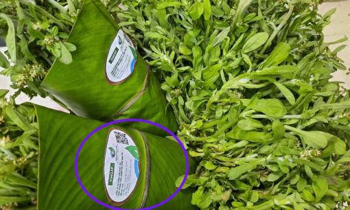 Loại rau dại từng cho lợn ăn giờ được săn lùng với giá 500 nghìn đồng/kg