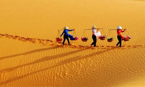 Được ví như phiên bản thu nhỏ của sa mạc Sahara, sa mạc lớn nhất Việt Nam nằm ở đâu?