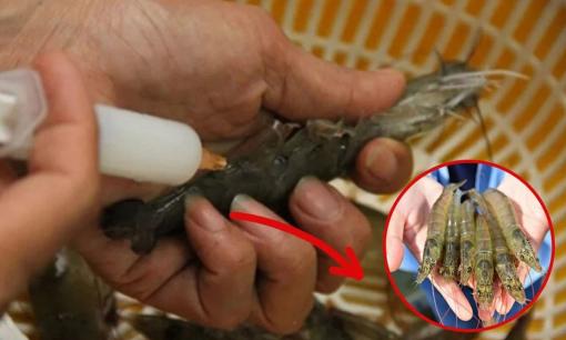 Khi mua tôm, hãy cẩn thận 'tôm bơm tạp chất', cố gắng không mua 5 loại này để đảm bảo sức khỏe