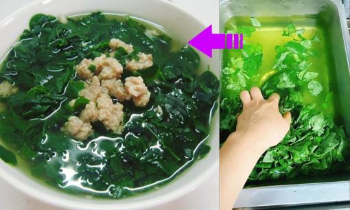 Rửa rau ngót thế nào cho đúng? 99% người Việt đang làm sai cách, mất sạch dinh dưỡng
